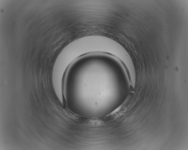 X0000073500376200608211721
