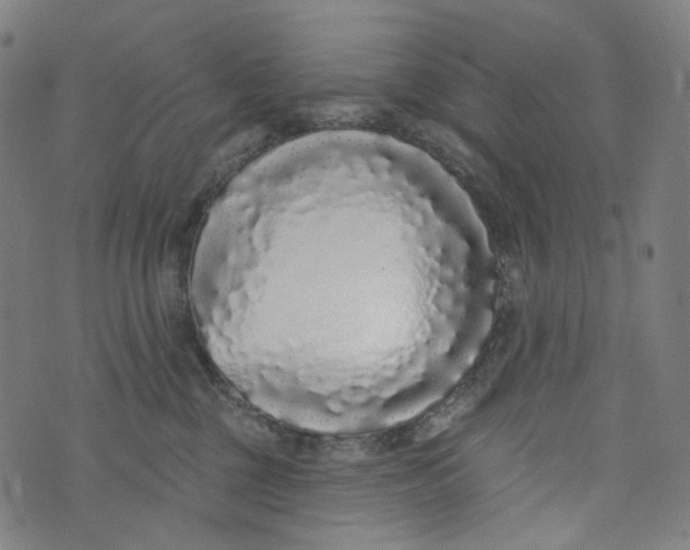 X0000073500377200608211721