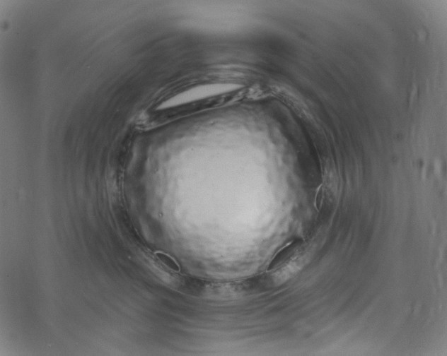 X0000073500381200608211721