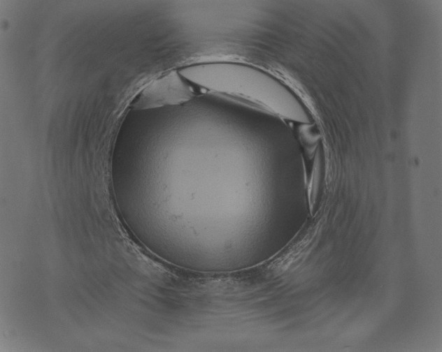 X0000073500385200608211720