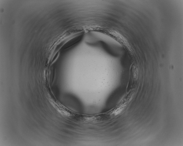X0000073500405200608211720