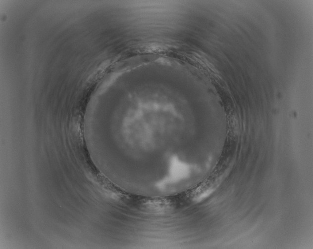 X0000073500415200608211720