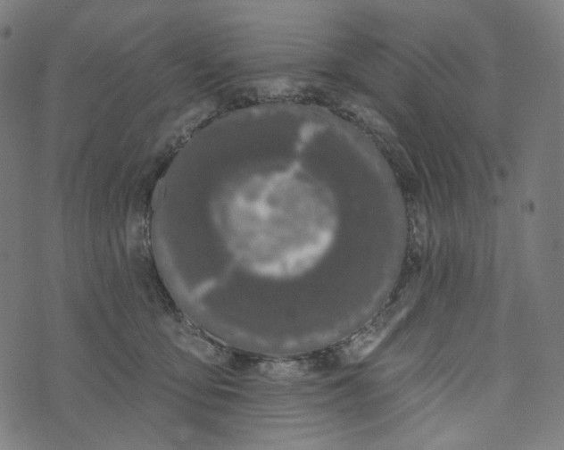 X0000073500419200608211719