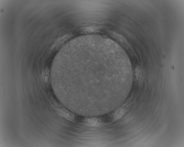 X0000073500423200608211719