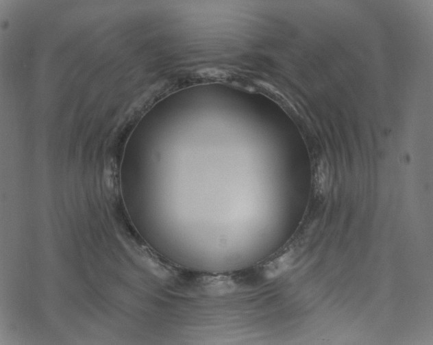 X0000073500424200608211719