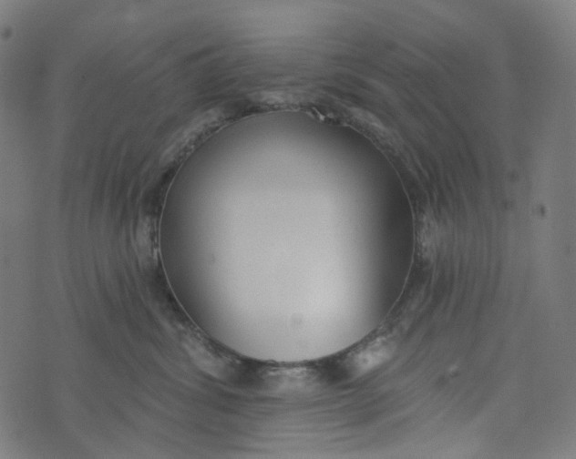 X0000073500428200608211719