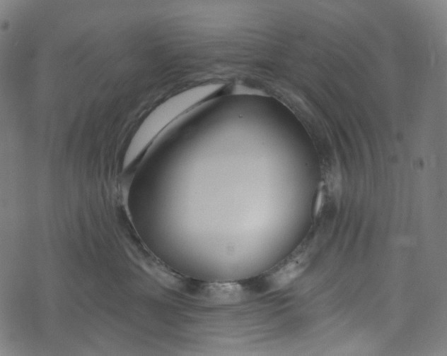 X0000073500429200608211719
