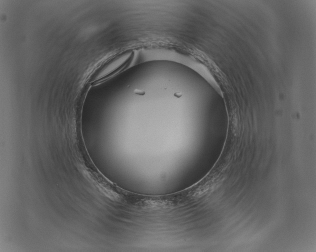 X0000073500442200608211719