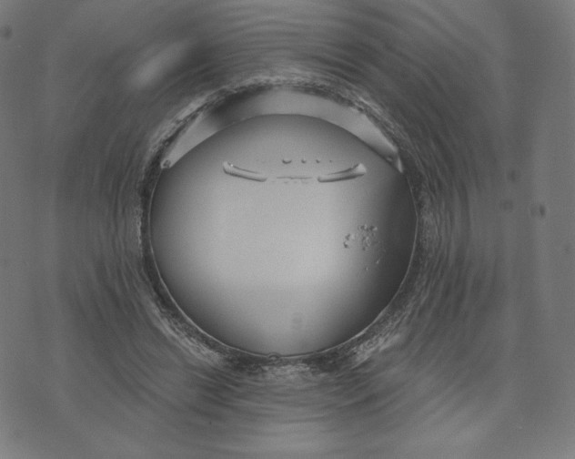 X0000073500446200608211719