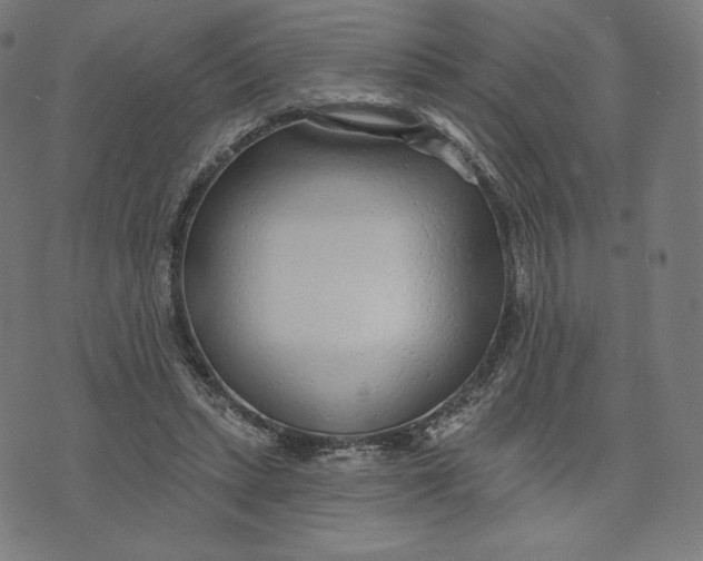 X0000073500447200608211719