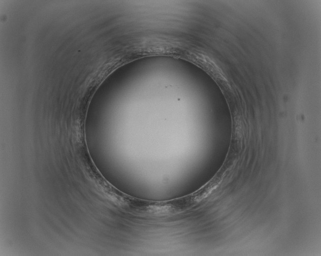 X0000073500457200608211719
