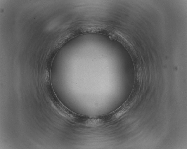 X0000073500459200608211719