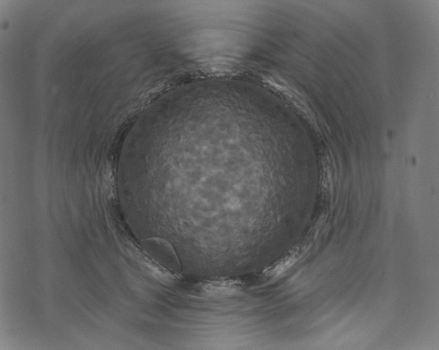 X0000073500465200608211719
