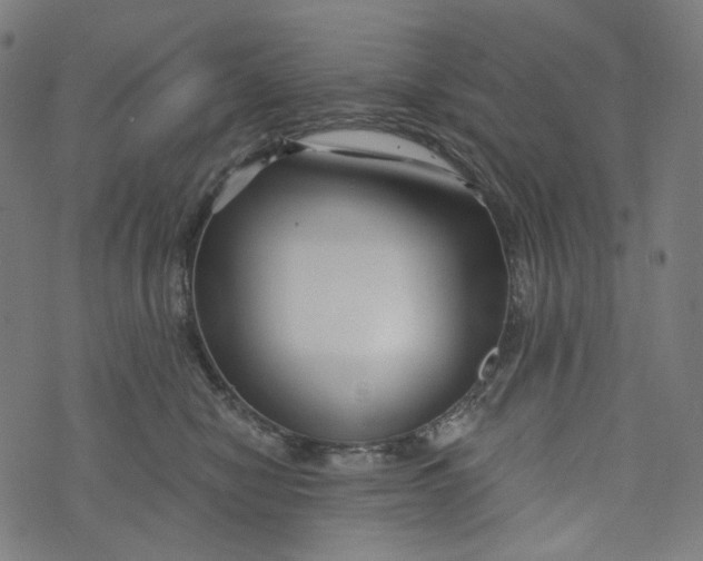 X0000073500470200608211719