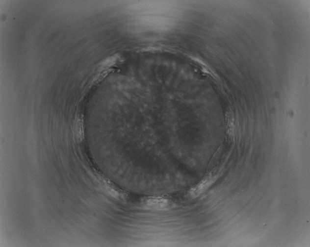 X0000073500471200608211719