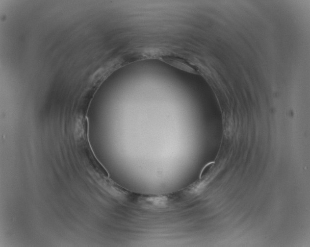 X0000073500478200608211719