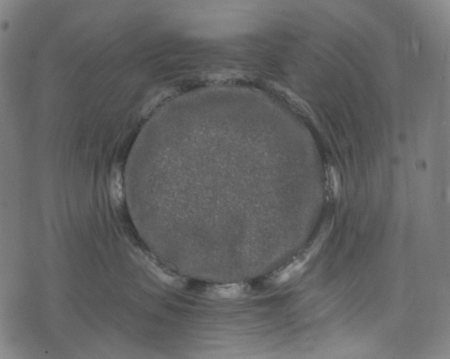 X0000073500479200608211719