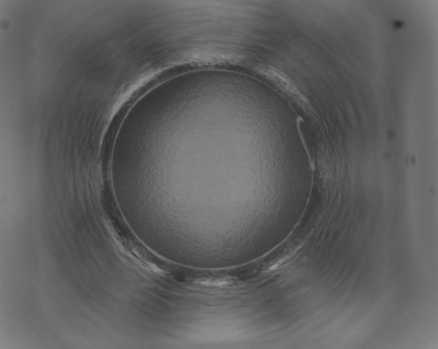 X0000073500488200608211718