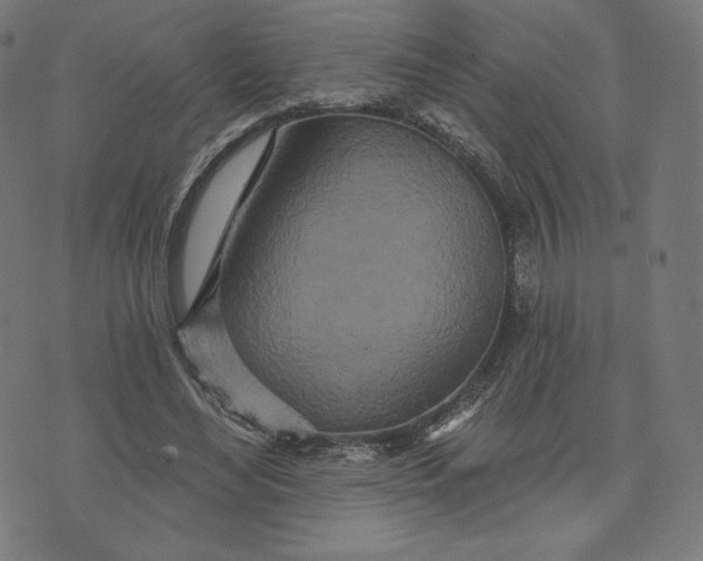 X0000073500492200608211718