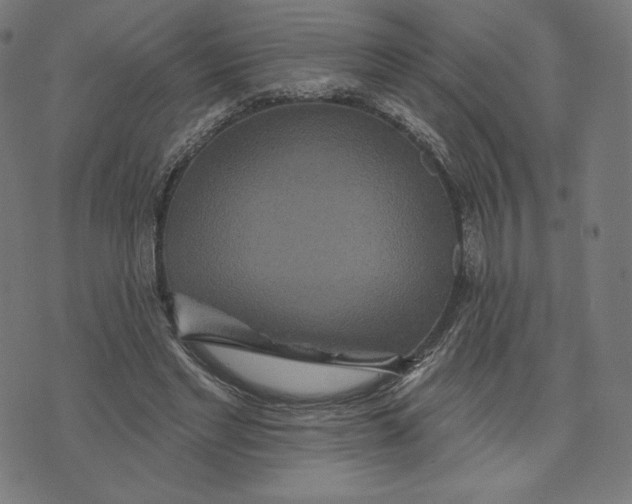 X0000073500493200608211718
