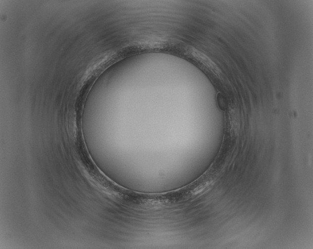 X0000073500494200608211718