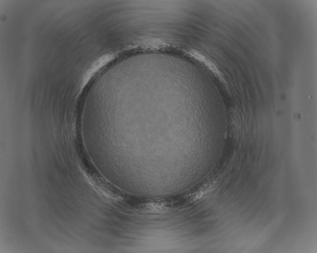 X0000073500496200608211718