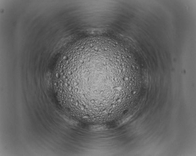 X0000073500511200608211718
