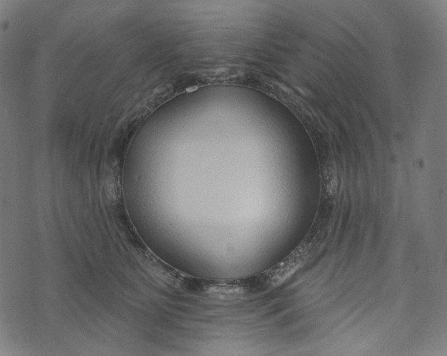 X0000073500515200608211718