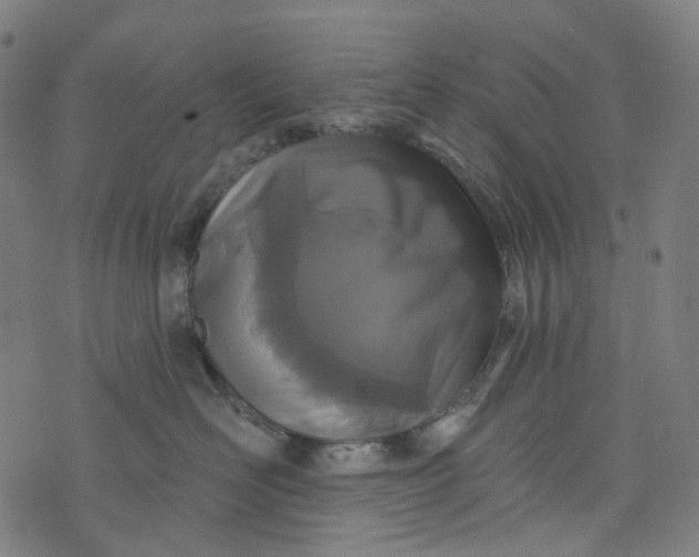 X0000073500526200608211718