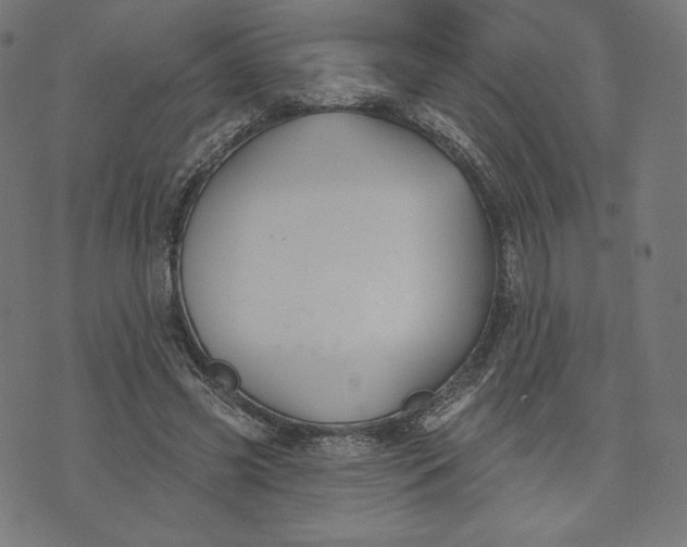 X0000073500541200608211717