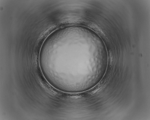 X0000073500542200608211717