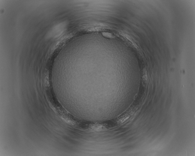X0000073500547200608211717