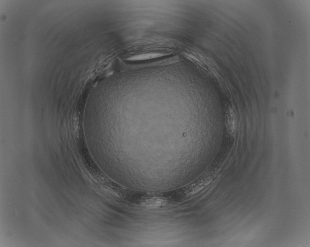 X0000073500551200608211717