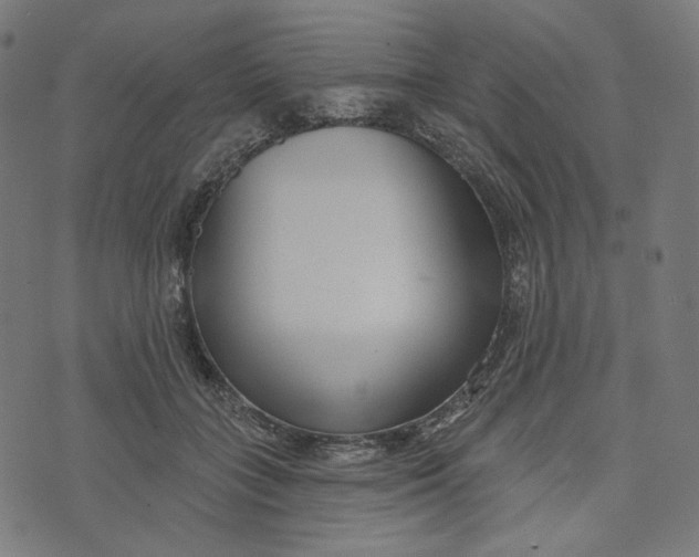 X0000073500555200608211717