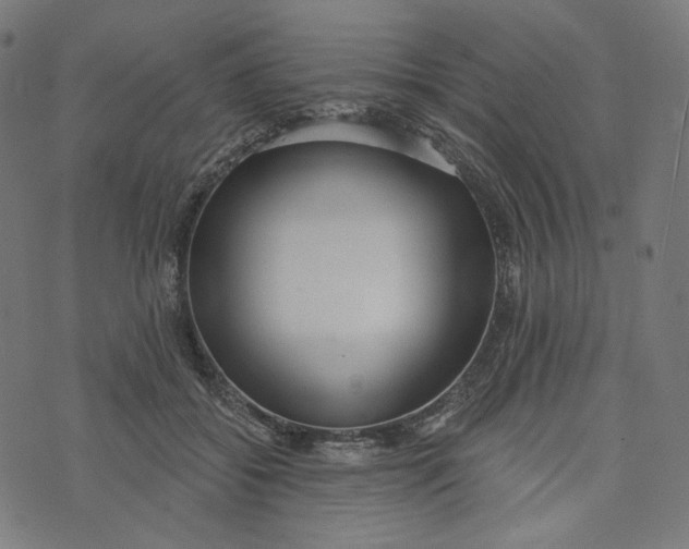 X0000073500556200608211717