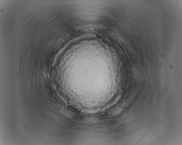 X0000073500561200608211717