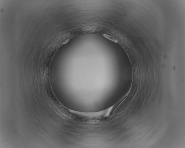 X0000073500601200608211717