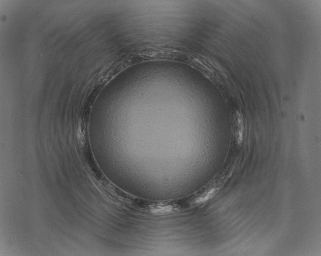 X0000073500607200608211716
