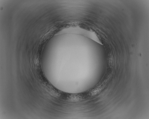 X0000073500608200608211716