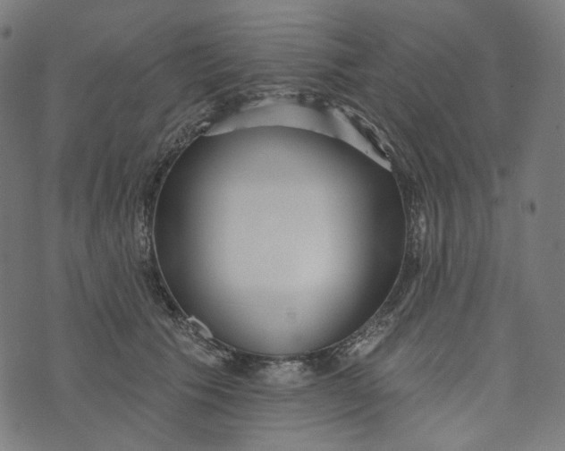 X0000073500609200608211716