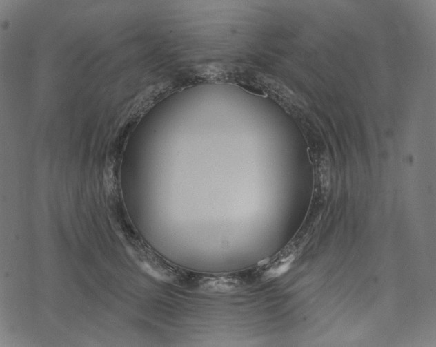X0000073500611200608211716