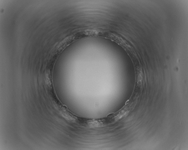 X0000073500616200608211716