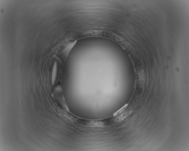 X0000073500617200608211716