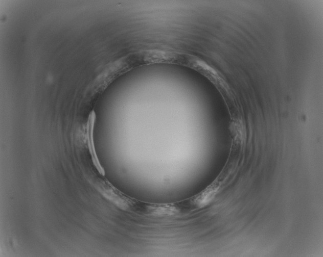 X0000073500621200608211716