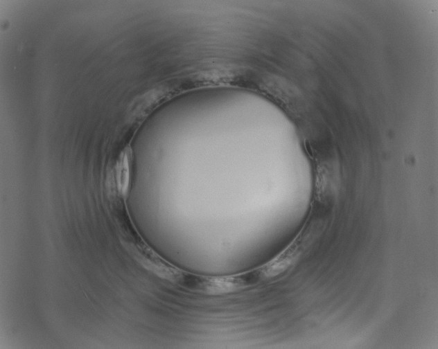 X0000073500623200608211716