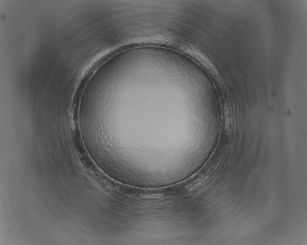 X0000073500628200608211715