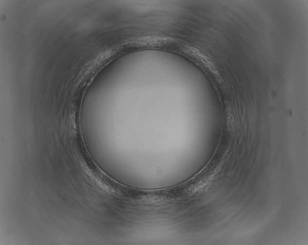 X0000073500633200608211715