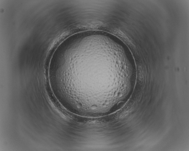 X0000073500634200608211715