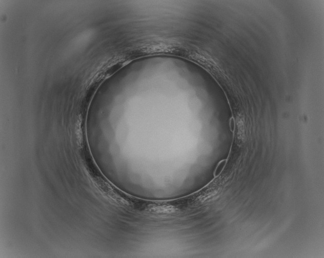 X0000073500642200608211716