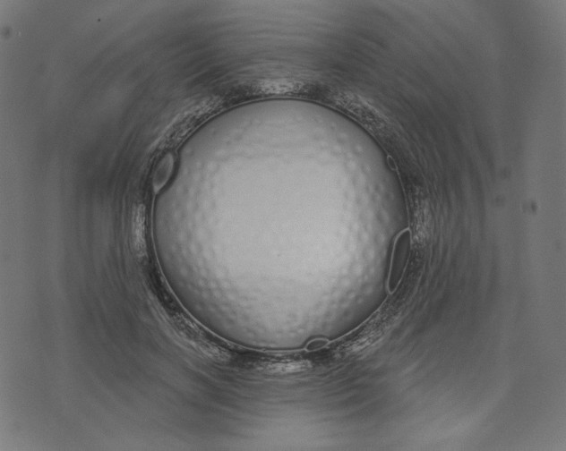X0000073500646200608211716